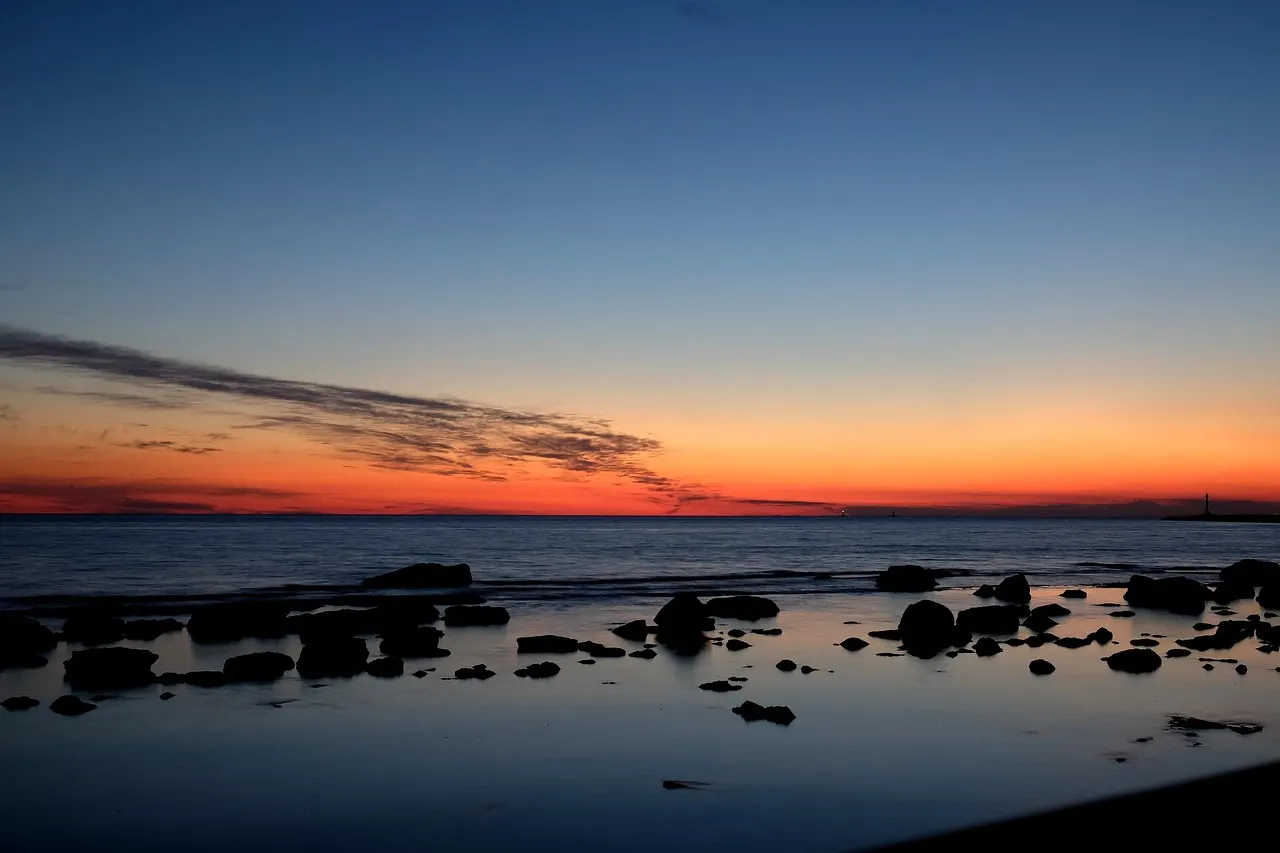 La gastronomia livornese: un assaggio di mare